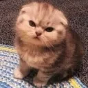 emoji_147