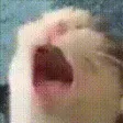 WAAAA