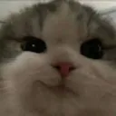 emoji_148