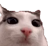 plink
