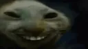 xddkiss