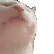 catJAM
