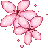 pinkflower