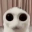 starebutworse
