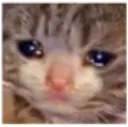 Sad
