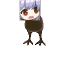 essexkiwi