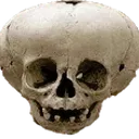 bigbrain