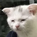 exhausted