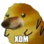 xdm xdm