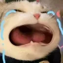 emoji_156