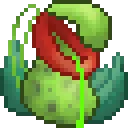 AhaPitcherPlant
