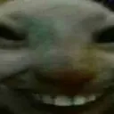 xdd xdd