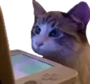 WatchingStream