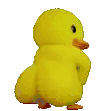 DuckTwerkingYellow
