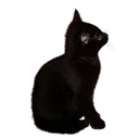 AestheticPngs Discord Emoji