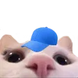 capPeek