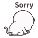 Sorry