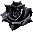 blackrose128