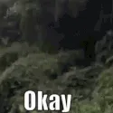 Okay