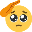 pleading_salute