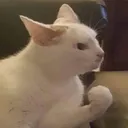 CE_Plotting CE_Plotting
