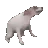 Doggodance