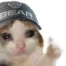 bearthumbsup