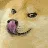dogelick