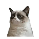 5845e0f37733c3558233c0e9