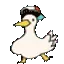 duckdance