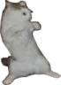 CE_Fight1 CE_Fight1