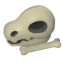 skullfossil