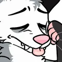 A_OpossumTired