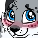 A_SnowLeopardBlush