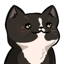 Kitten Kitten