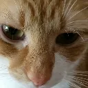 kurama