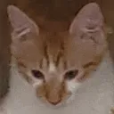 poh