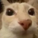 GeekStare