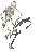 seizure_ton