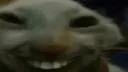 xdd