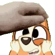 BingoPet