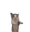 :happyhappyhappycat: