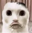 WA