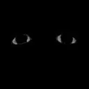Eyes