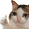 sadCatOk