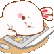 rga_w_sad2