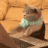 rga_typing Discord emoji