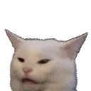yes