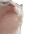 catJAM