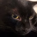 fukoff